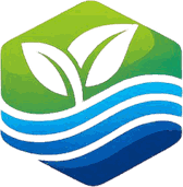 Icono de D'Pardo: hoja verde sobre olas de agua